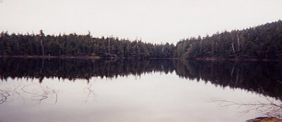 Cedar lake