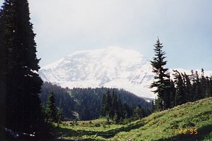 Mt Rainier National Park