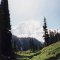 View of Mt Rainier